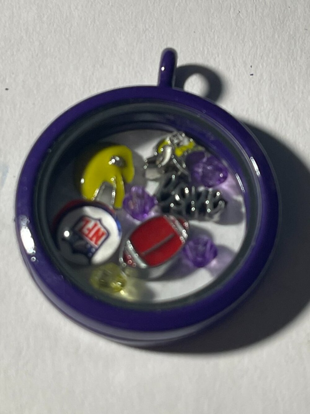 Minnesota Vikings NFL Memory Charm Locket w/ 22 IN chain NEW